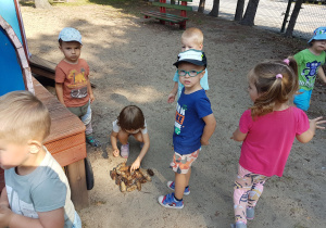 "Ognisko" z szyszek.