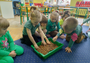 Jakie w dotyku są żołędzie