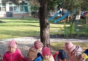 Kochamy drzewa