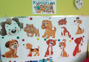 Dzień Kundelka.