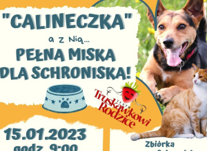 Plakat informujący o wydarzeniu