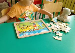 Natanek układa puzzle