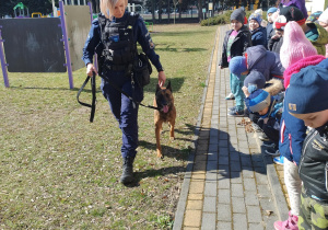 Prezentacja psa Pasji.