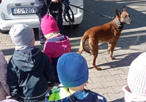 Pani Edyta i jej pies Pasja.