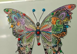 Praca plastyczna Motyl.