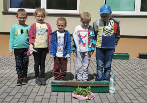 Grupka dzieci stoi przed skrzynką obok sadzonki cyni