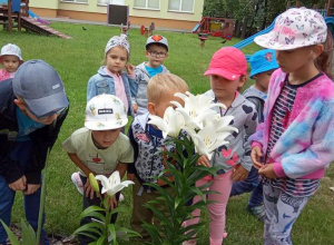 Przedszkolaki podziwiają lilie