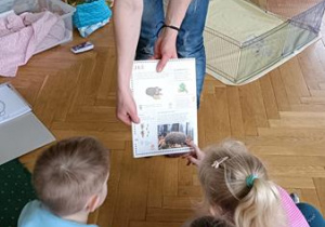 Dzieci oglądają obrazek jeża żyjącego w Polsce.