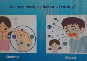 Bakterie i wirusy.