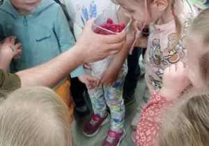 Oglądamy wysuszone specjalną techniką maliny