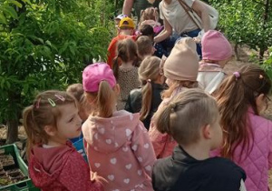Zapoznanie z zawodem ogrodnika.