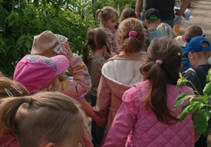 Co potrzebuje ogrodnik do pracy?