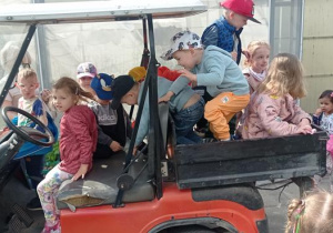 Meleks do przewożenia towarów.