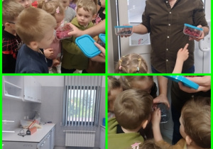 Oglądamy owoce poddane liofilizacji.