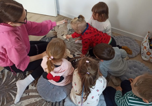 Co lubi jeść alpaka?