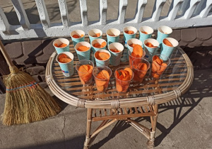 Smakołyki dla alpak