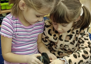 Julia i Ala oglądają przekrój ucha.