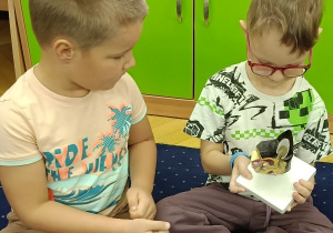 Model anatomicznym ucha psa.