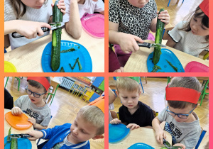 obieramy ogórki na surówkę