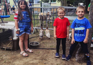 podziwiamy zwierzątka z wiejskiego podwórka