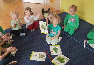 Ola pokazuje obrazek drzewa.