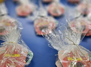 Dzień Babci i Dziadka - Pszczółki 2026