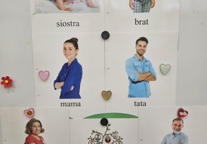 Drzewo genealogiczne.