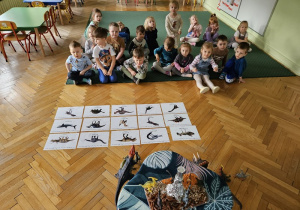 Zdjęcia dinozaurów odnalezione przez dzieci.