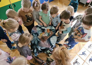 Oglądanie wybuchu wulkanu.