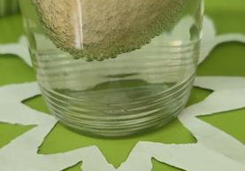 prowadzimy obserwacje