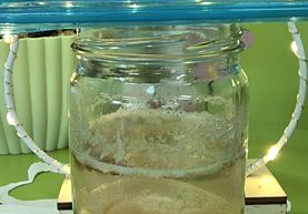 Co się stanie z surowym jajkiem wrzuconym do octu?