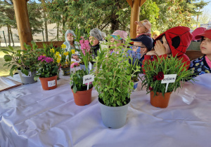 Rozpoznajemy co przyniosła pani Ania.