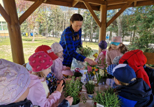 Wąchamy, dotykamy i poznajemy zapachy ziół oraz kolory wiosny.