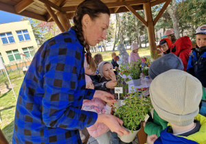 Przedszkolaki pocierają liście ziół w paluszkach, aby poczuć ich aromat.
