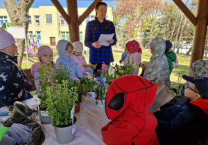 Wytężamy słuch i umysły – rozwiązywanie zagadek przyrodniczych.