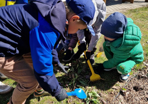 Dzieci dzielnie przygotowują ziemię i dbają o nasz przedszkolny ogródek.
