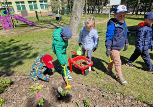 Uczymy się, że dbanie o ogród to nie tylko sadzenie, ale też dbanie o czystość wokół roślin.