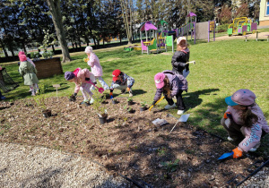 Dzieci z ogromnym zaangażowaniem sadzą krzewy i kwiaty.