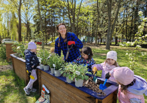 Szałwia, mięta i inne aromatyczne rośliny zamieszkały dziś w naszych nowych skrzyniach.