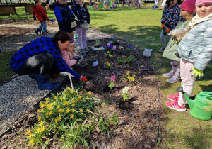 Pani Ania pokazuje jak sadzimy kwiatki.