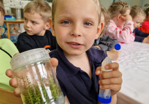 Probówka z mikro-sadzonkami borówek umieszczonymi na laboratoryjnej pożywce.