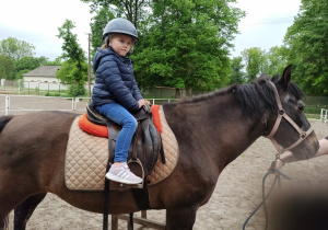 Laura na koniu