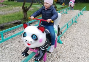 Laurka na pandzie