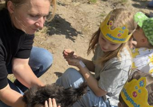 słuchanie ciekawostek o zwierzątkach z "Kuratorium"