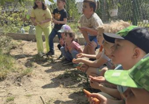 w oczekiwaniu na spotkanie z kurką