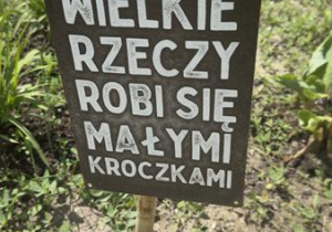 wielkie rzeczy robi się małymi kroczkami