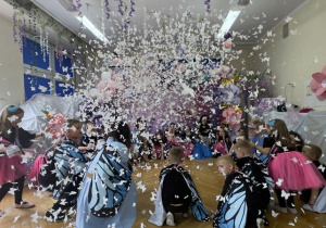 motylowe confetti