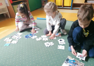 Stokrotki układają puzzle.