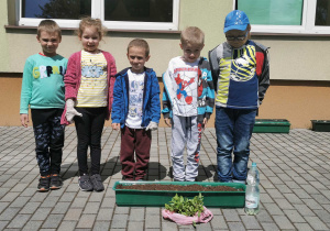 Grupka dzieci stoi przed skrzynką obok sadzonki cyni