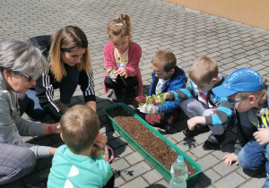 Dzieci oglądają sadzonki, trzymają je w rękach